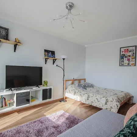 Daire Freedom